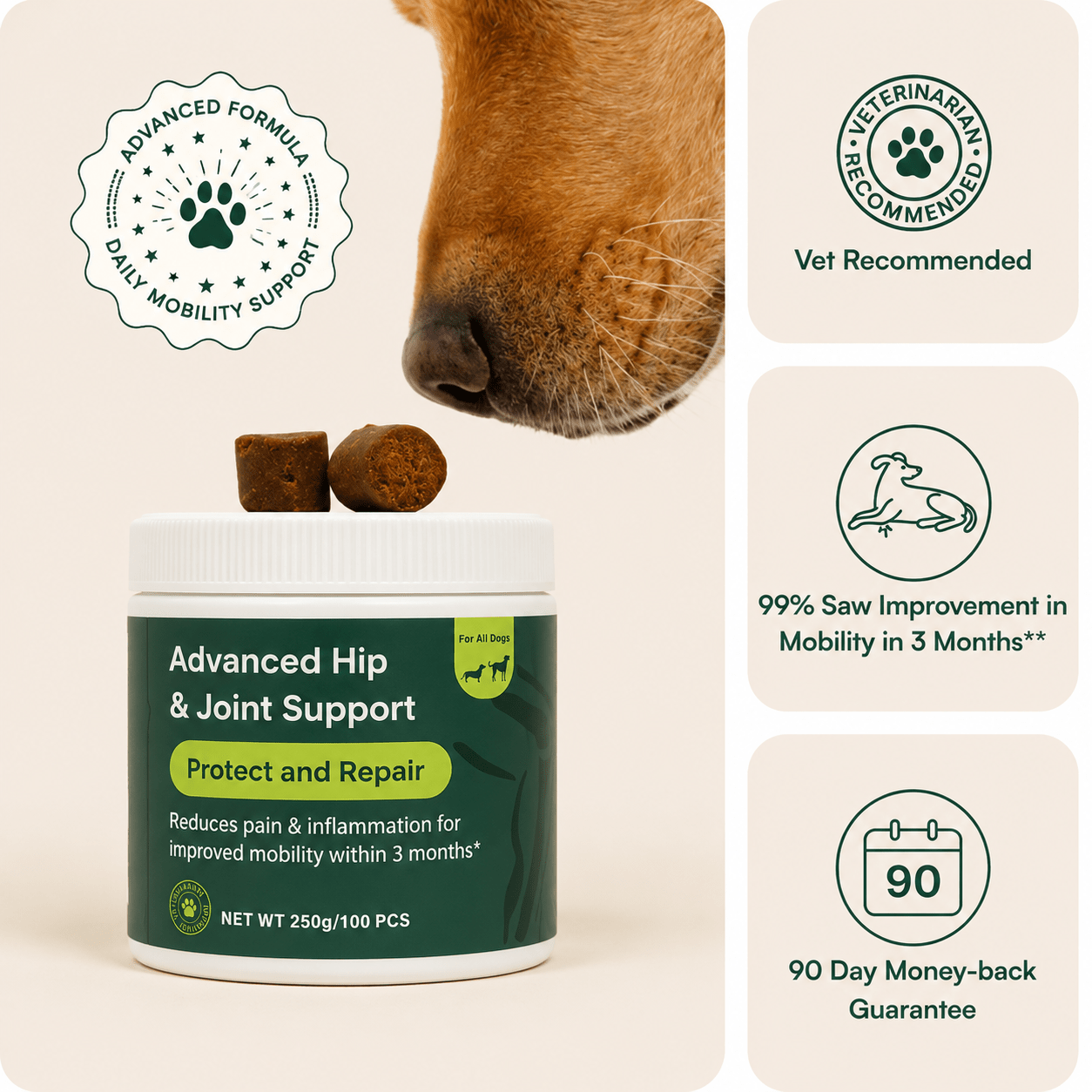 Advanced Hip & Joint Support Chews - Dobby & Co